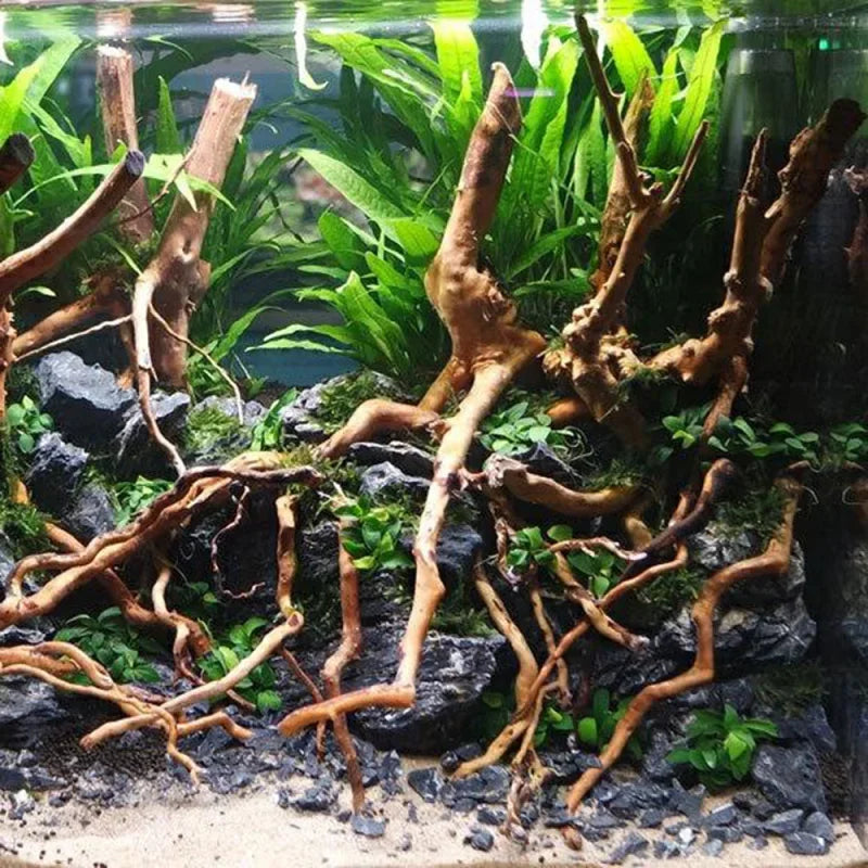 Aquarium Micro Landscape