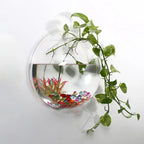 Aquariums Pack Wall Hanging Glass