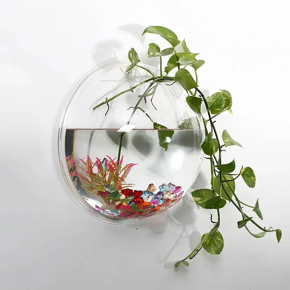 Aquariums Pack Wall Hanging Glass