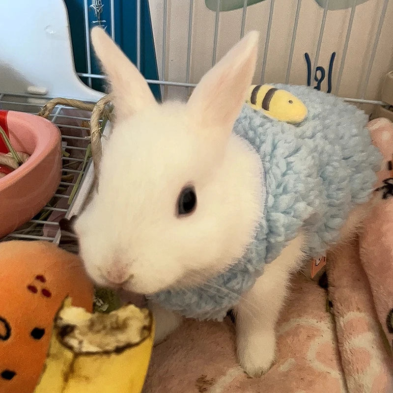 Winter Bunny Kitten Sweater