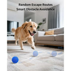 Interactive Dog Toys Ball