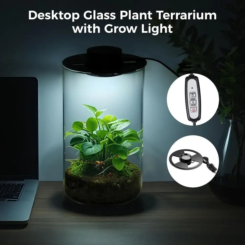 Desktop Glass Terrarium with Grow Light
