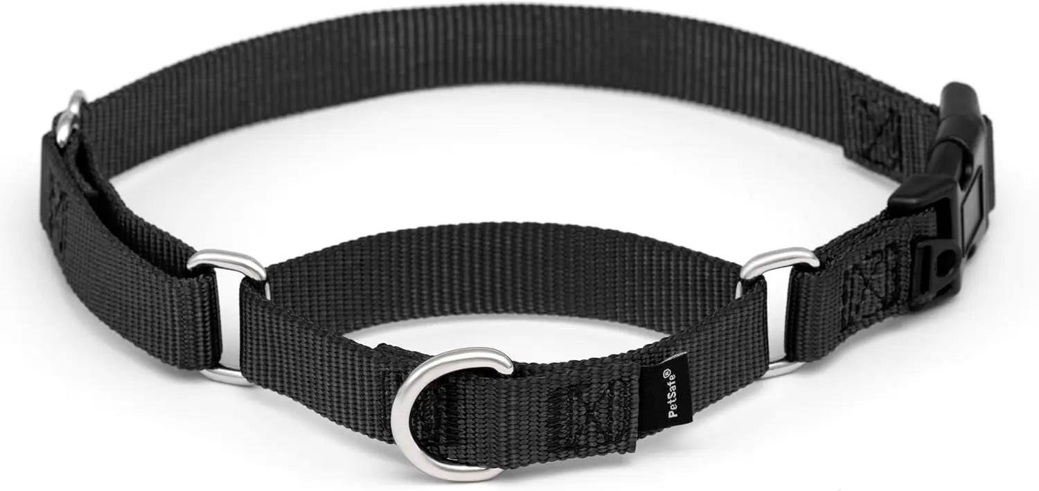 Adjustable Martingale Dog Collar