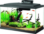 10 Gallon Aquarium Starter, Setup for Beginners