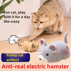 Interactive Cat Toy