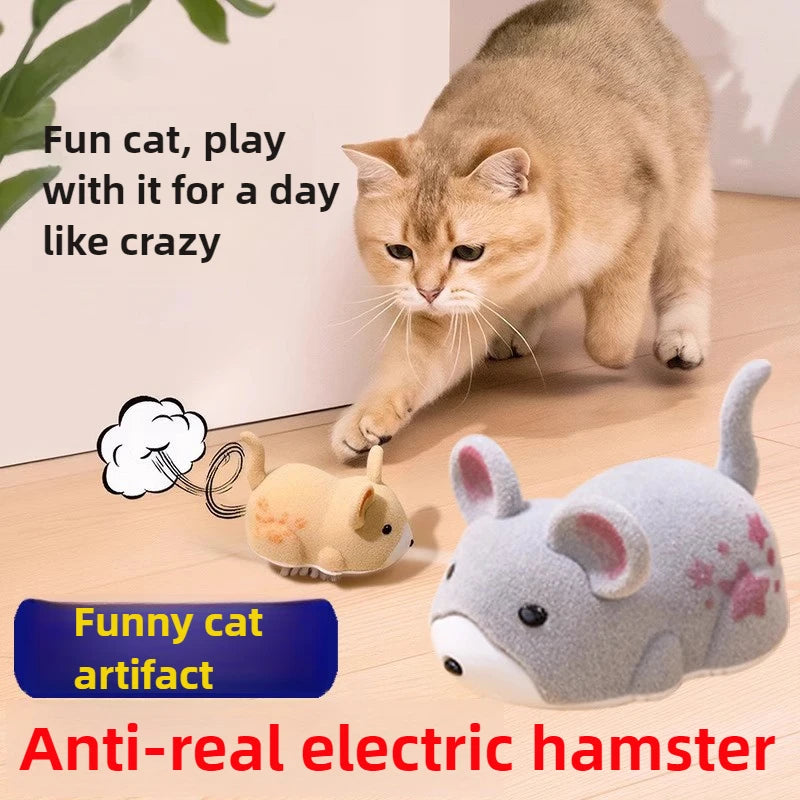 Interactive Cat Toy