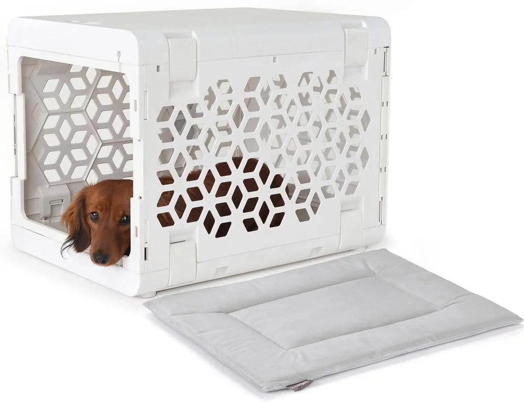 Collapsible Dog Crate