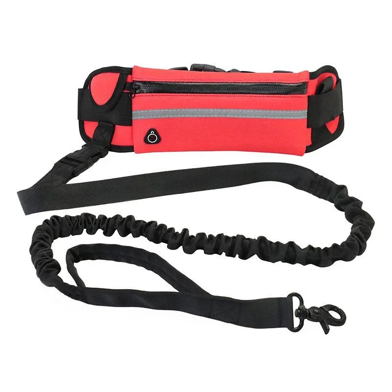 Hands Free Dog Leash for Running Walking