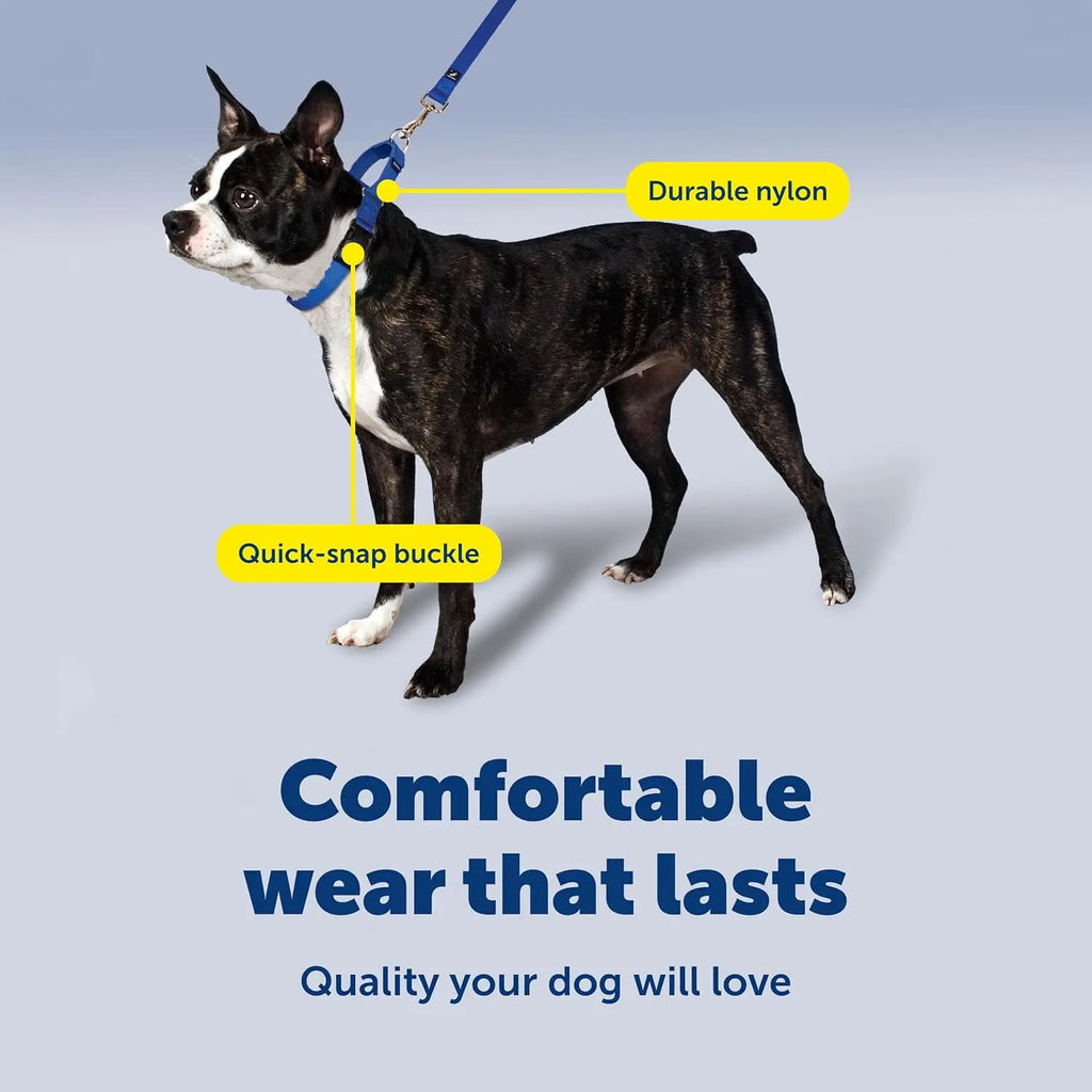 Adjustable Martingale Dog Collar