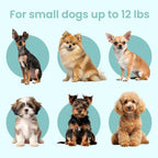 Collapsible Dog Crate