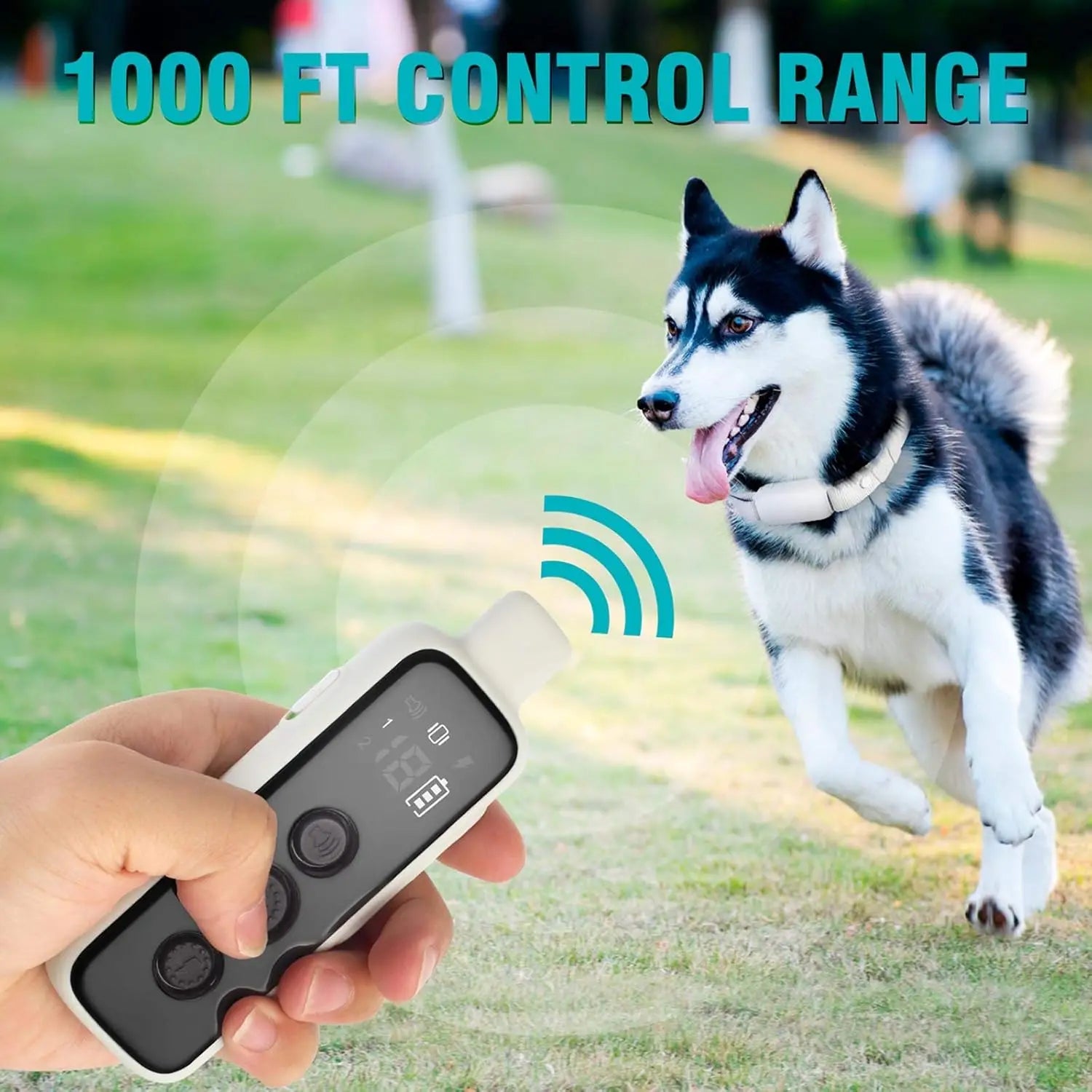 Electric Dog Training Collar