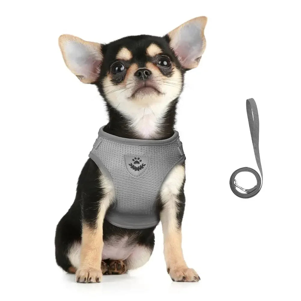 Cat Harness Lead Leash Set