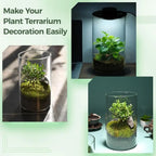 Desktop Glass Terrarium with Grow Light