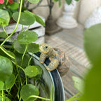 Fishing Turtle Hanging Turtle Figurine