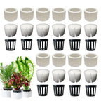 10/20Pcs Aquatic Landscape plant holder