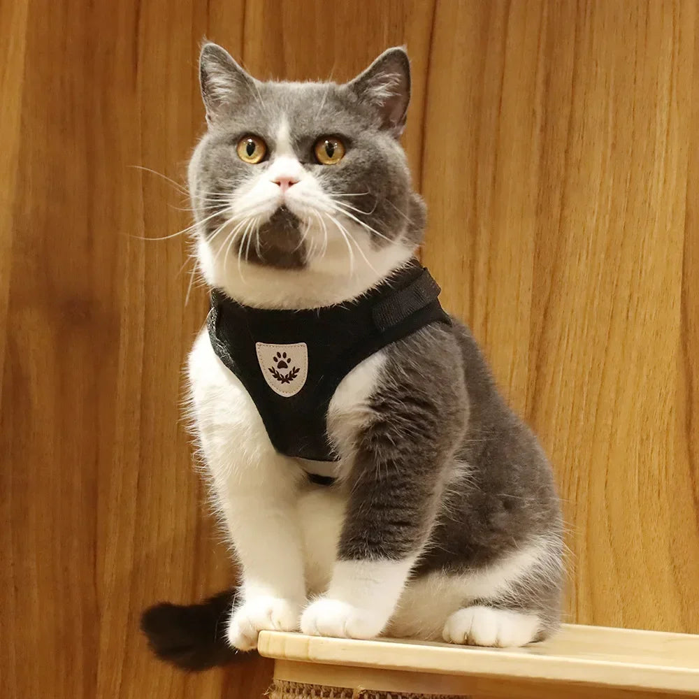 Cat Harness Lead Leash Set