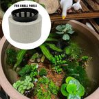 10/20Pcs Aquatic Landscape plant holder