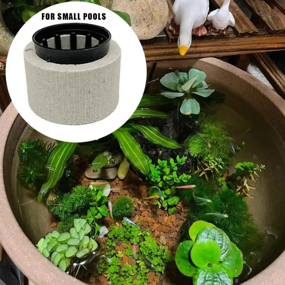 10/20Pcs Aquatic Landscape plant holder