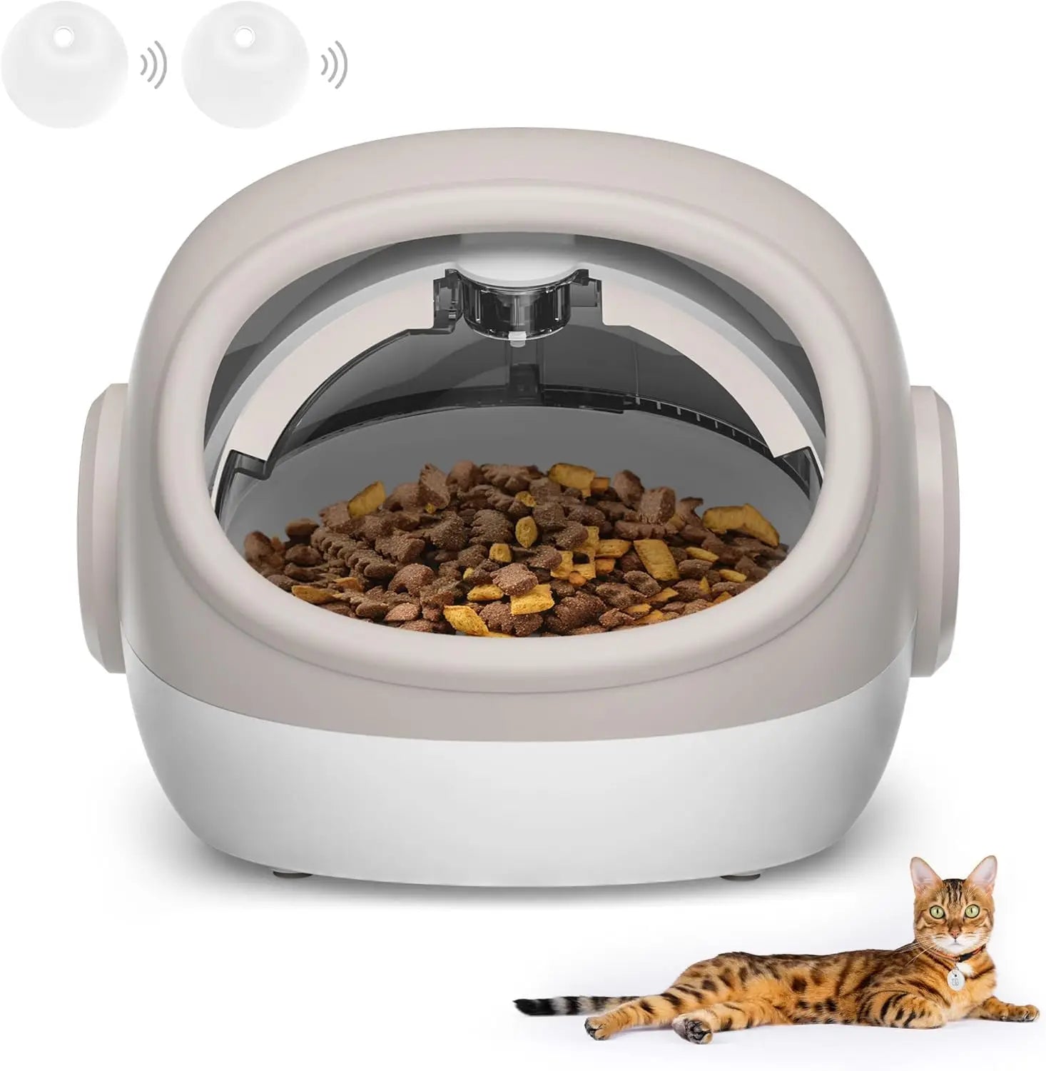 Upgraded RFID Cat Feeder with Collar Sensor