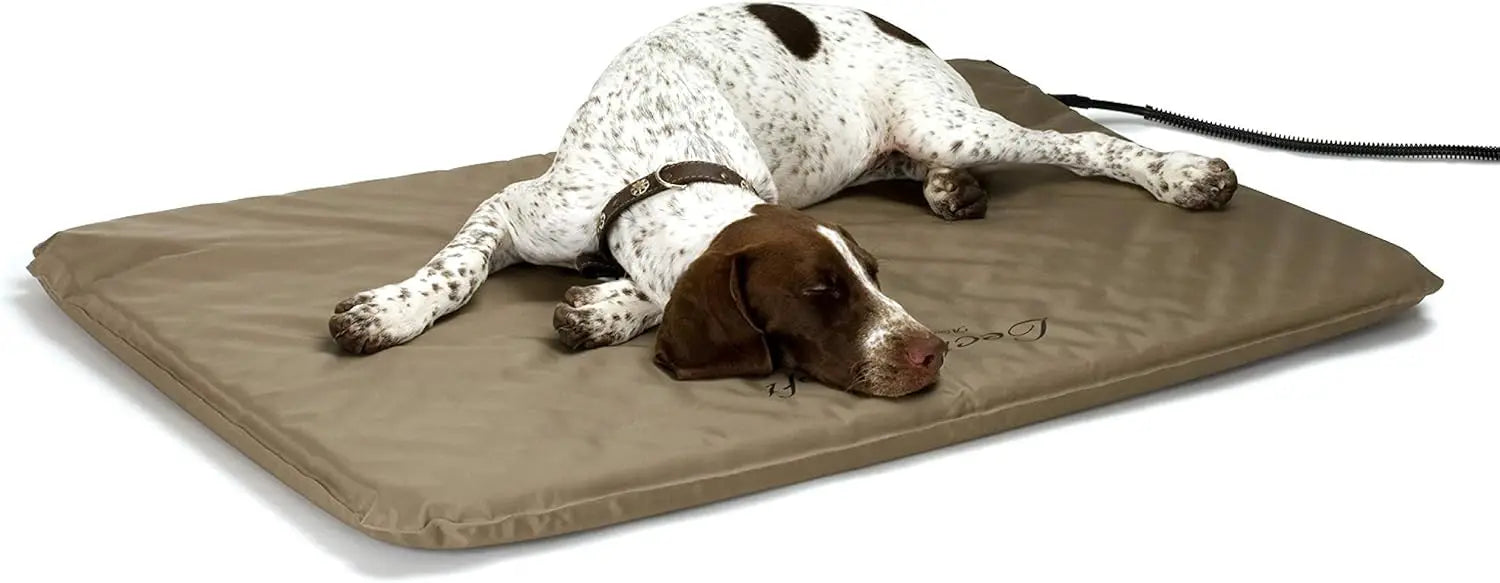 Orthopedic Heated Pet Bed