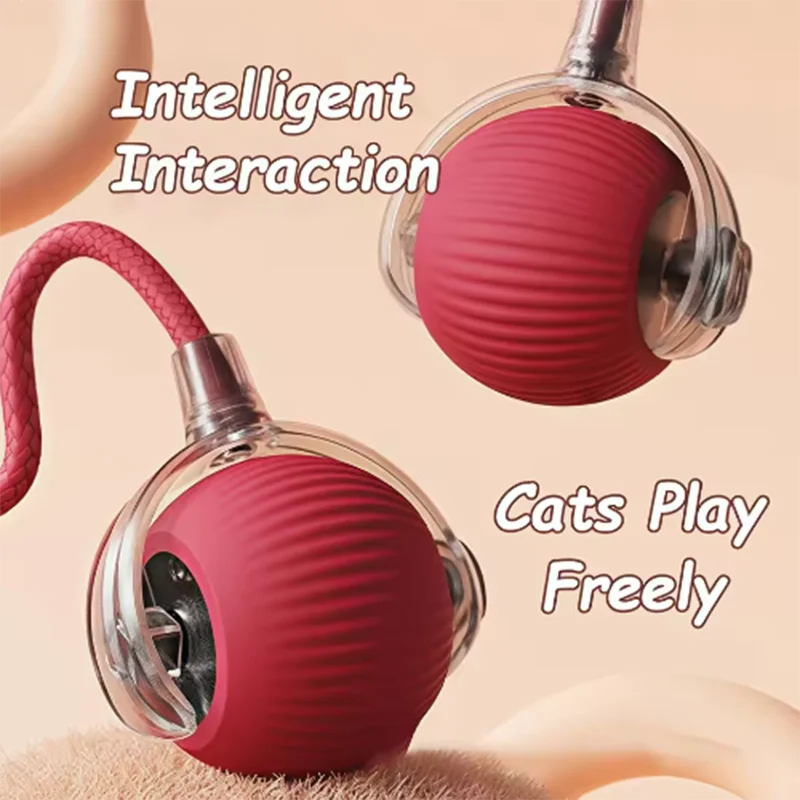 Intelligent interactive cat, dog ball
