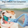 Interactive Dog Treat Ball