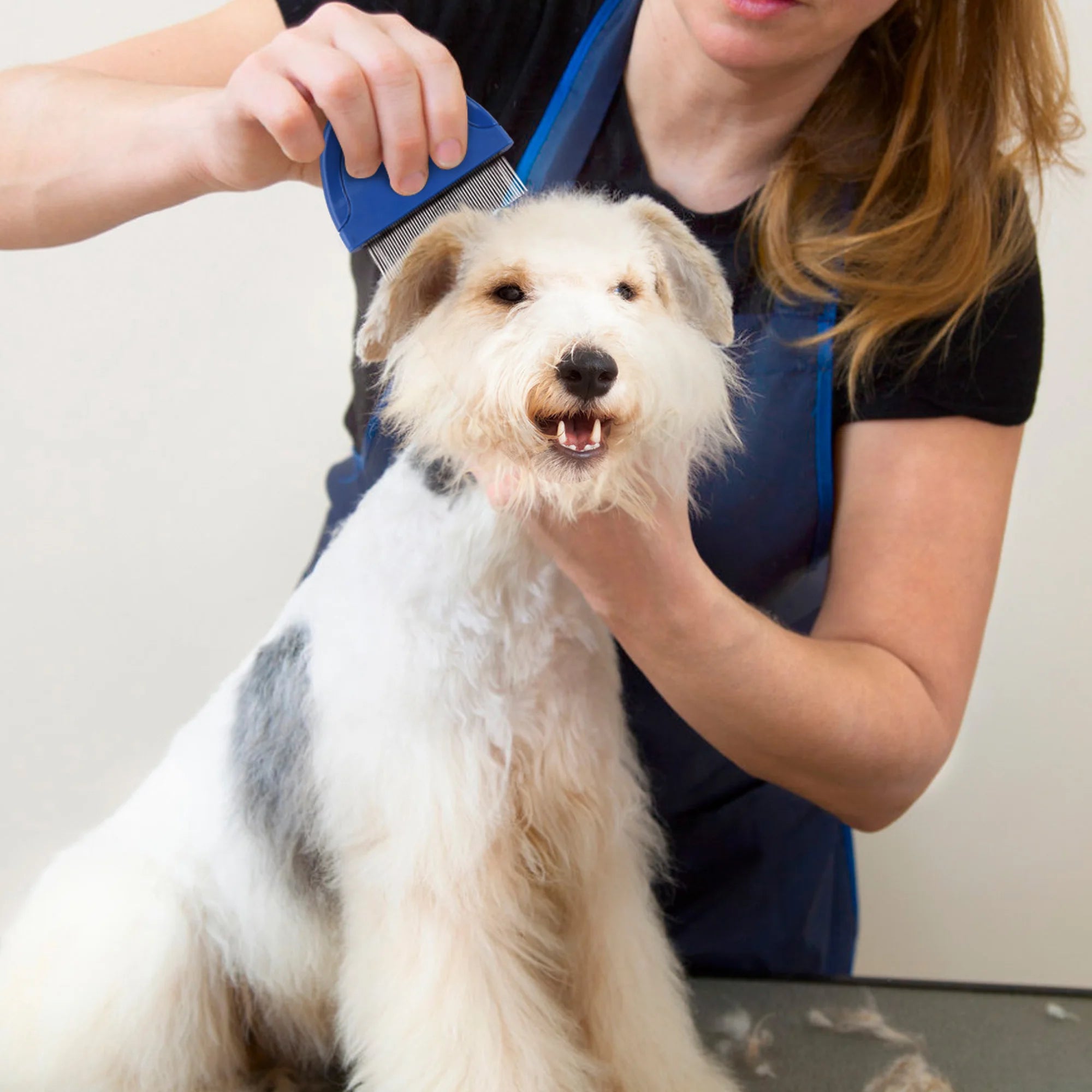 Flea Comb for Cat, Dog
