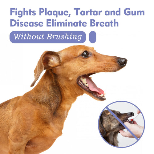 4-Piece Pet Oral Care Spray