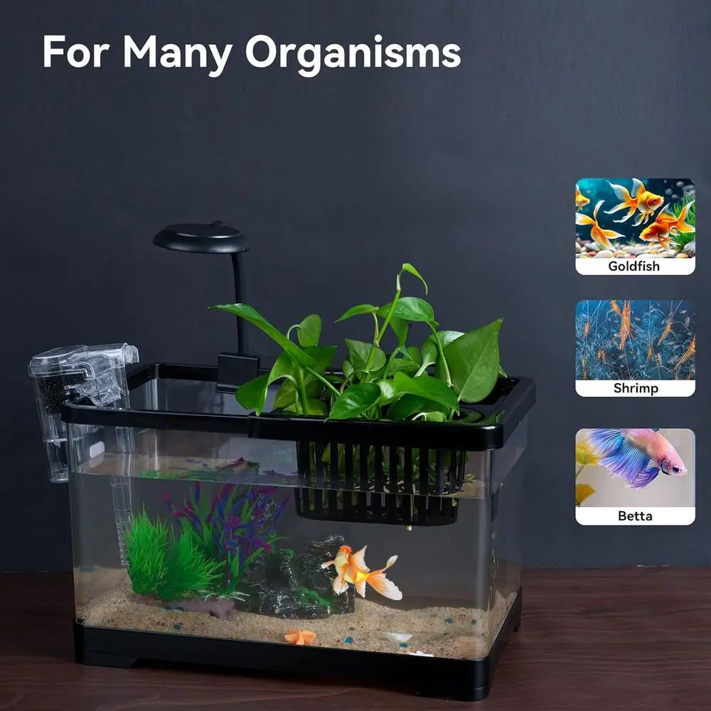 1.8 Gallon Aquarium Kit