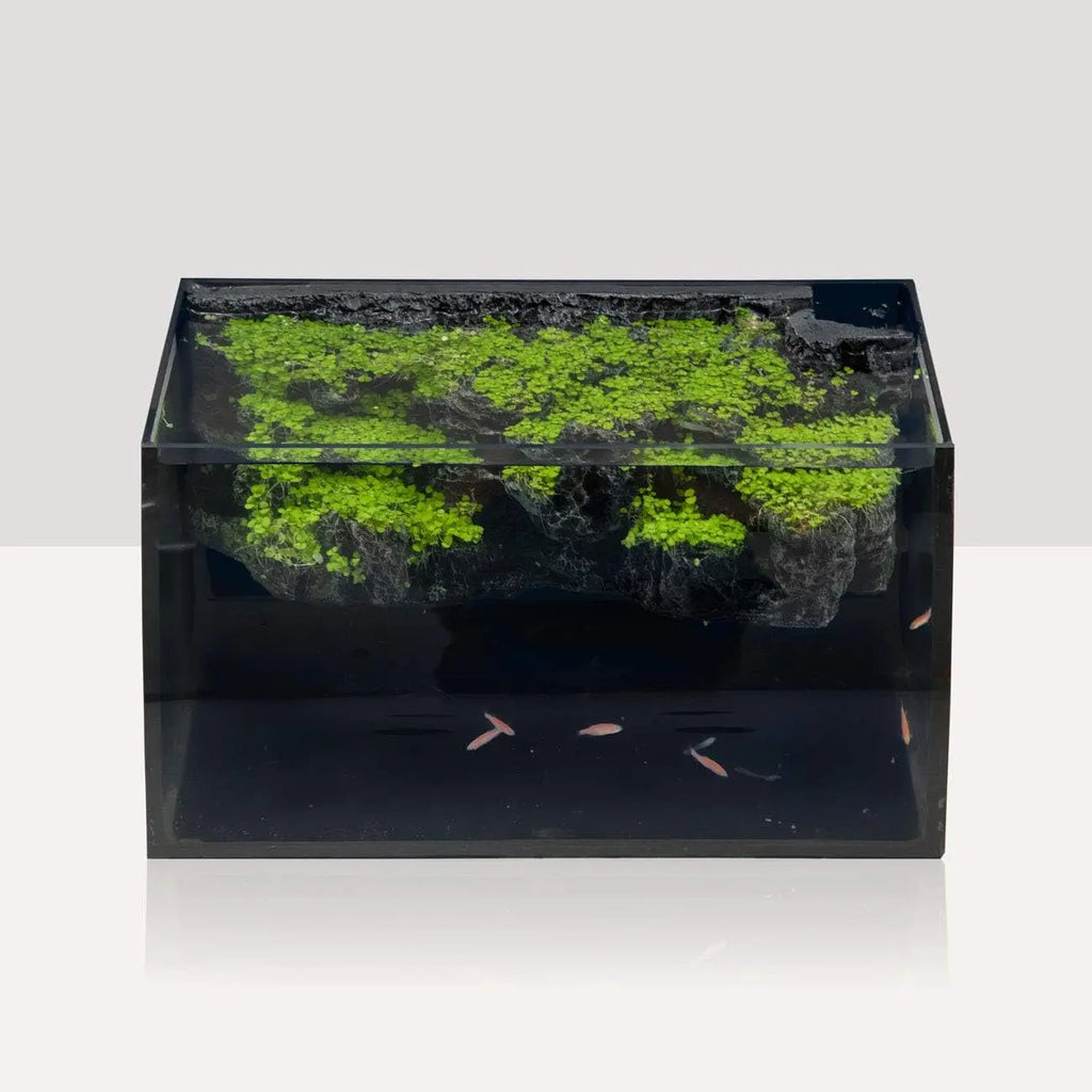 LED Glass Aquarium Kit