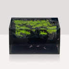 LED Glass Aquarium Kit