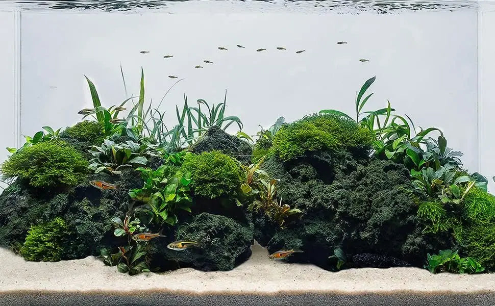 Black Lava Stones