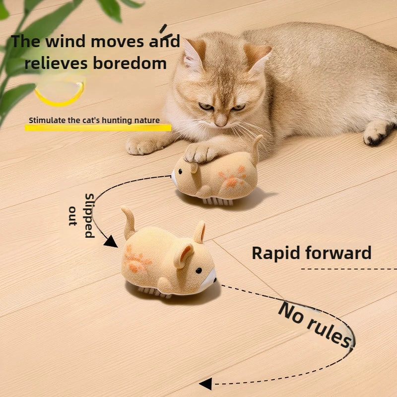 Interactive Cat Toy