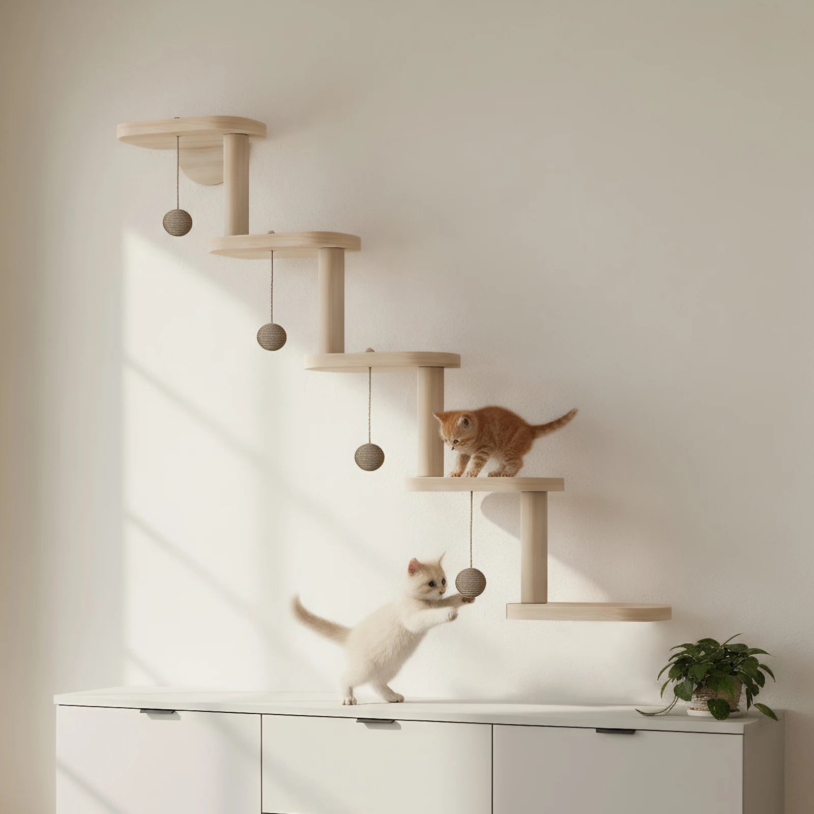 5 Step Wooden Cat Climbing Frame