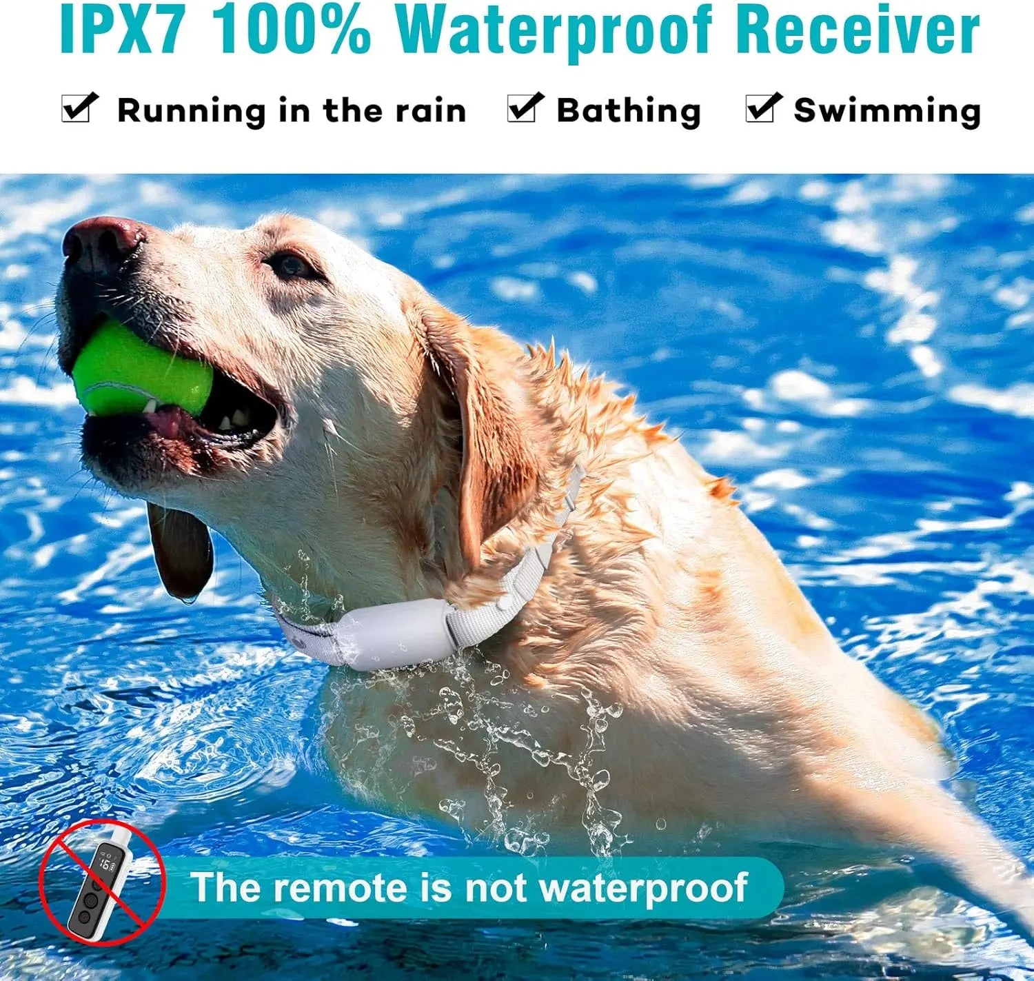 Electric Dog Training Collar