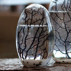 Small Oval 5-Inch Aquatic Habitat
