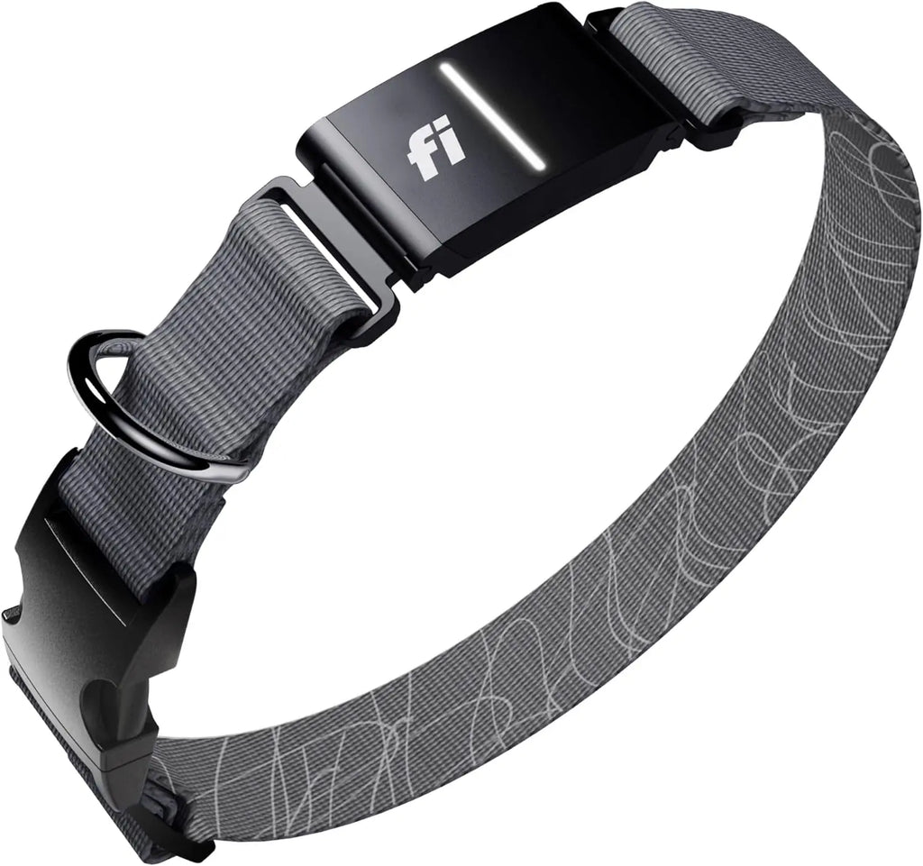 Smart GPS Dog Tracker Collar