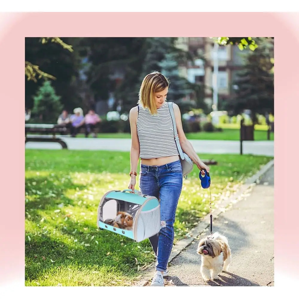 Travel Carrier Backpack