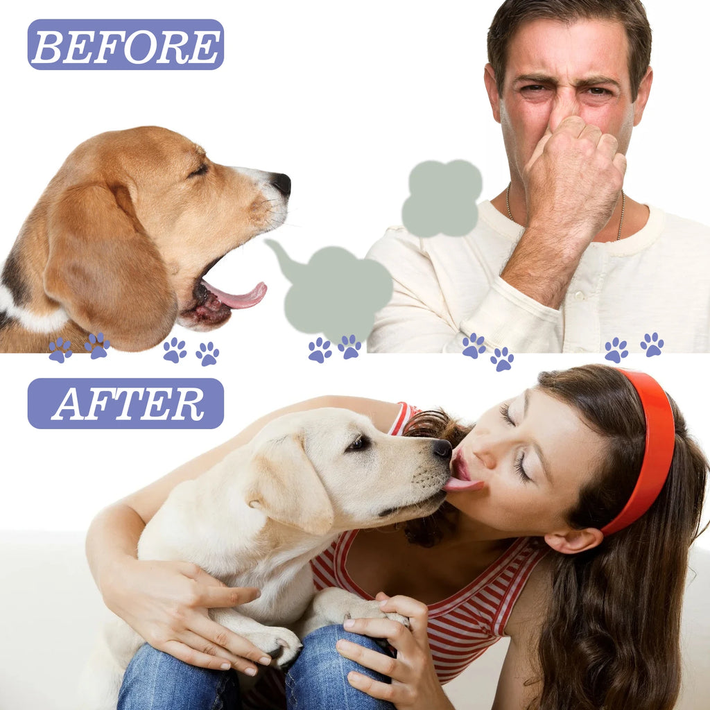 4-Piece Pet Oral Care Spray