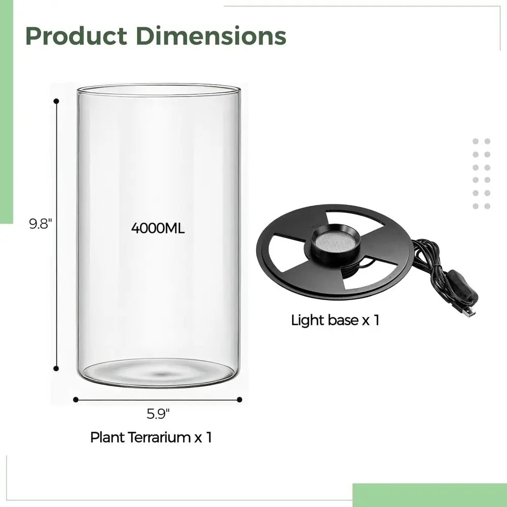 Desktop Glass Terrarium with Grow Light