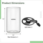 Desktop Glass Terrarium with Grow Light