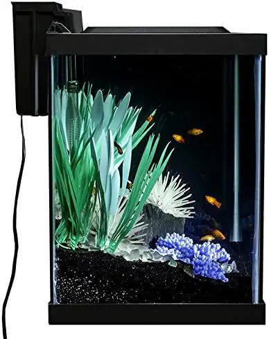 20 Gallon Aquarium Kit