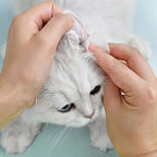 Eye, Ear Cleaning Wipes