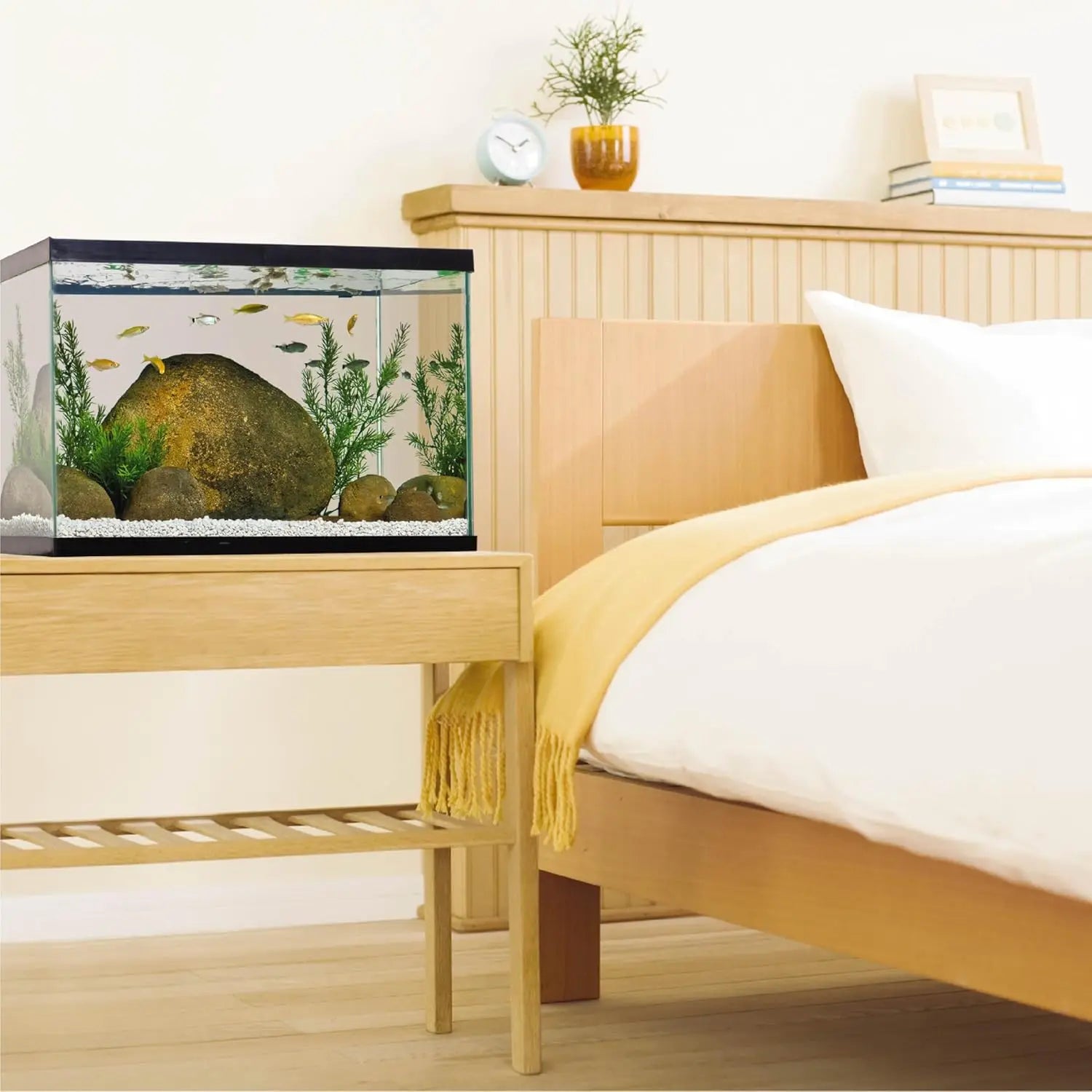 20 Gallon Complete Tropical Fish Tank Kit