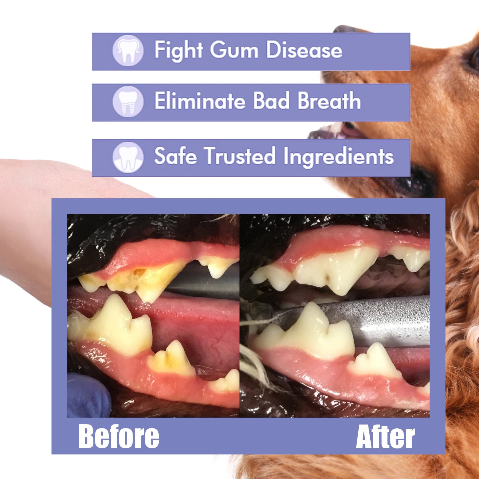 4-Piece Pet Oral Care Spray