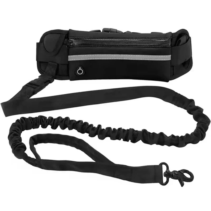 Hands Free Dog Leash for Running Walking