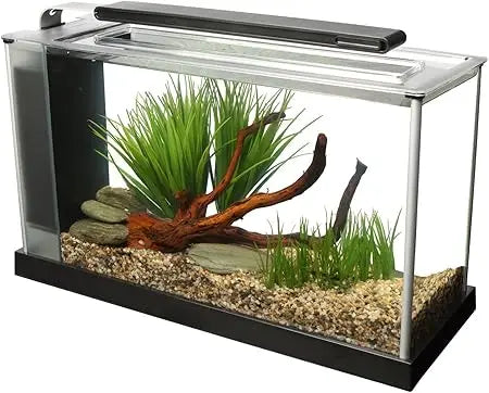 5-Gallon Aquarium Kit with LED Light and 3-Stage Filter System