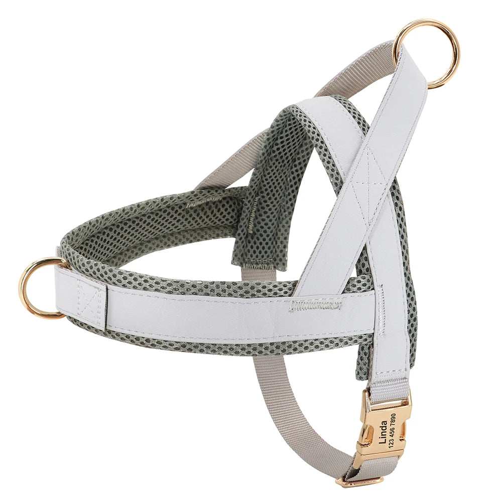 Adjustable No-Pull Dog Harness