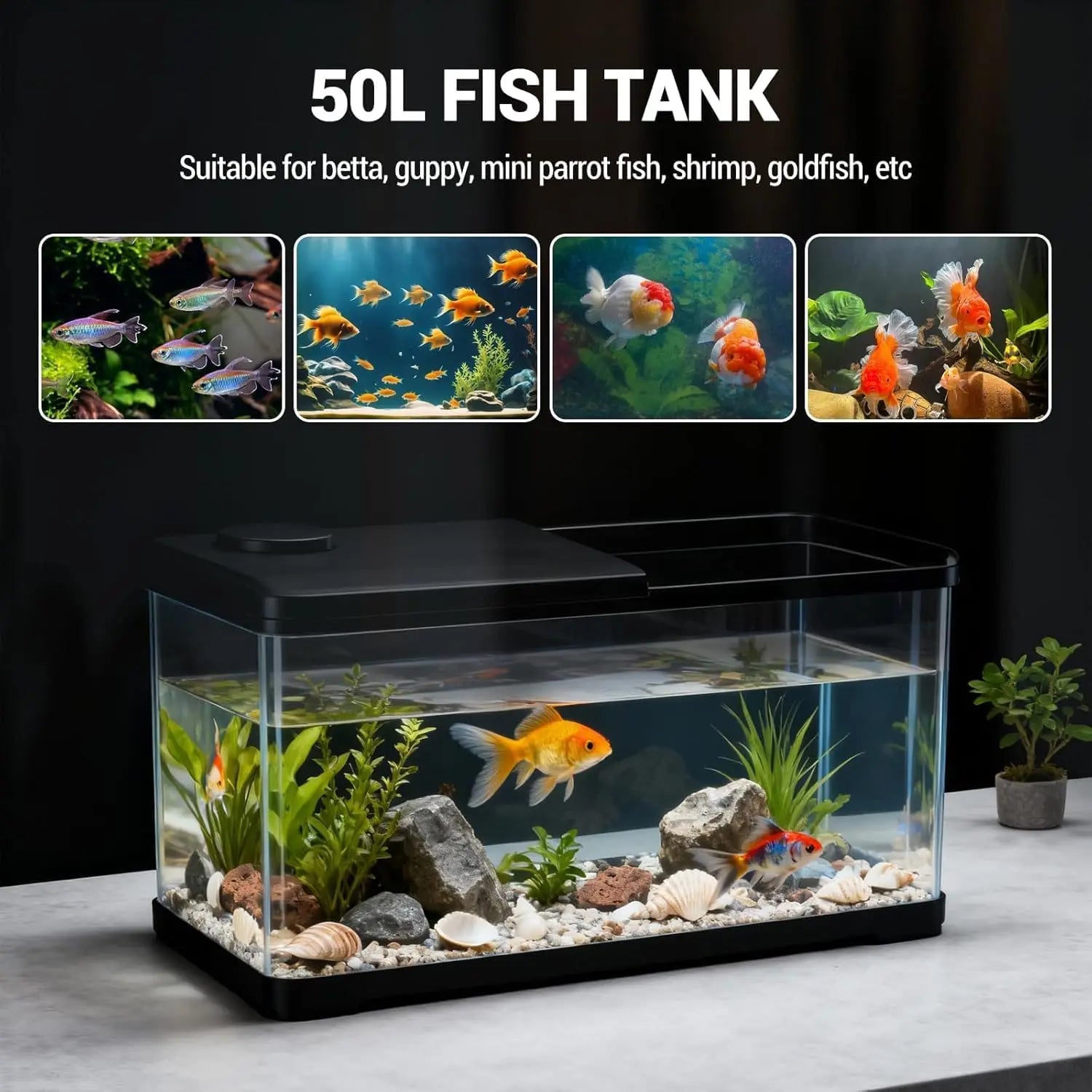 13-Gallon Aquarium Kit