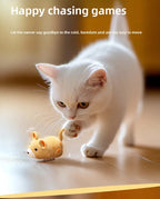 Interactive Cat Toy